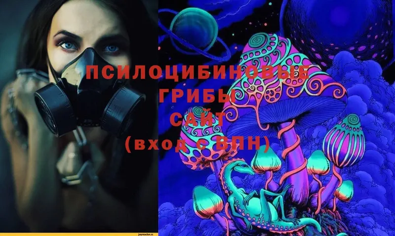 Псилоцибиновые грибы Magic Shrooms  Туймазы 